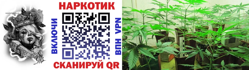 Магазины продажи наркотиков Вуктыл КОКАИН  APVP  АМФ  Мефедрон  ГАШ 