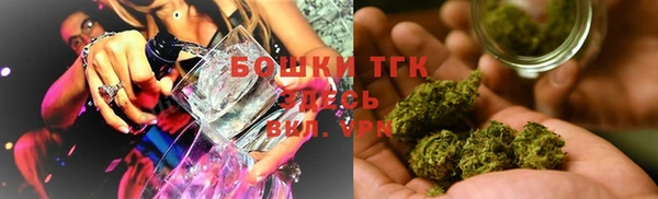 ПСИЛОЦИБИНОВЫЕ ГРИБЫ Аркадак